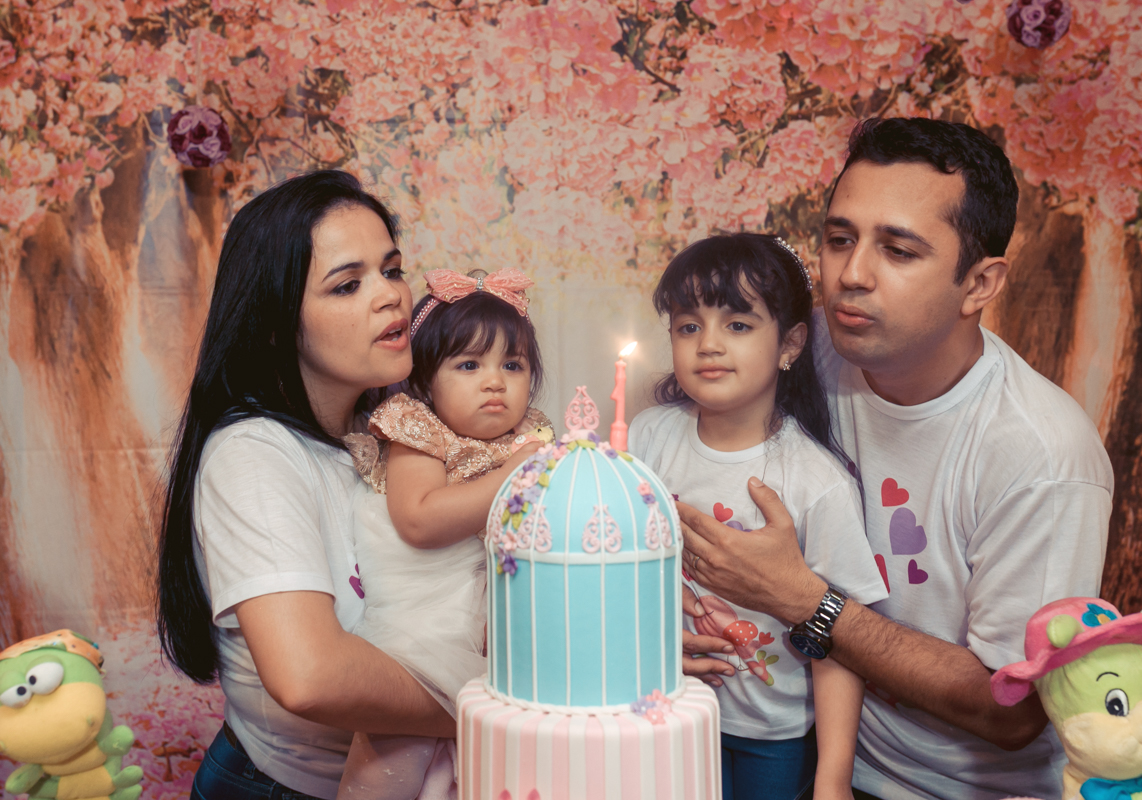 Festa Infantil Bolo Jardim ncantado