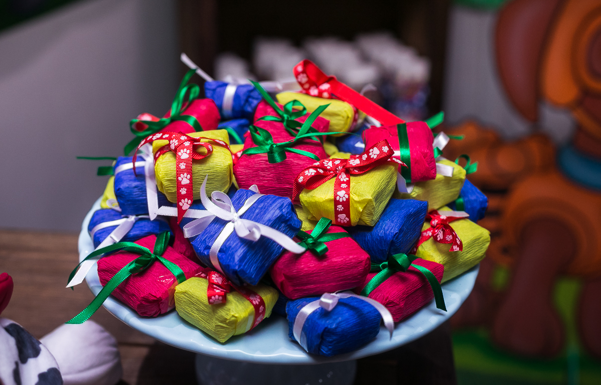 Bem Nascidos tema patrulha canina