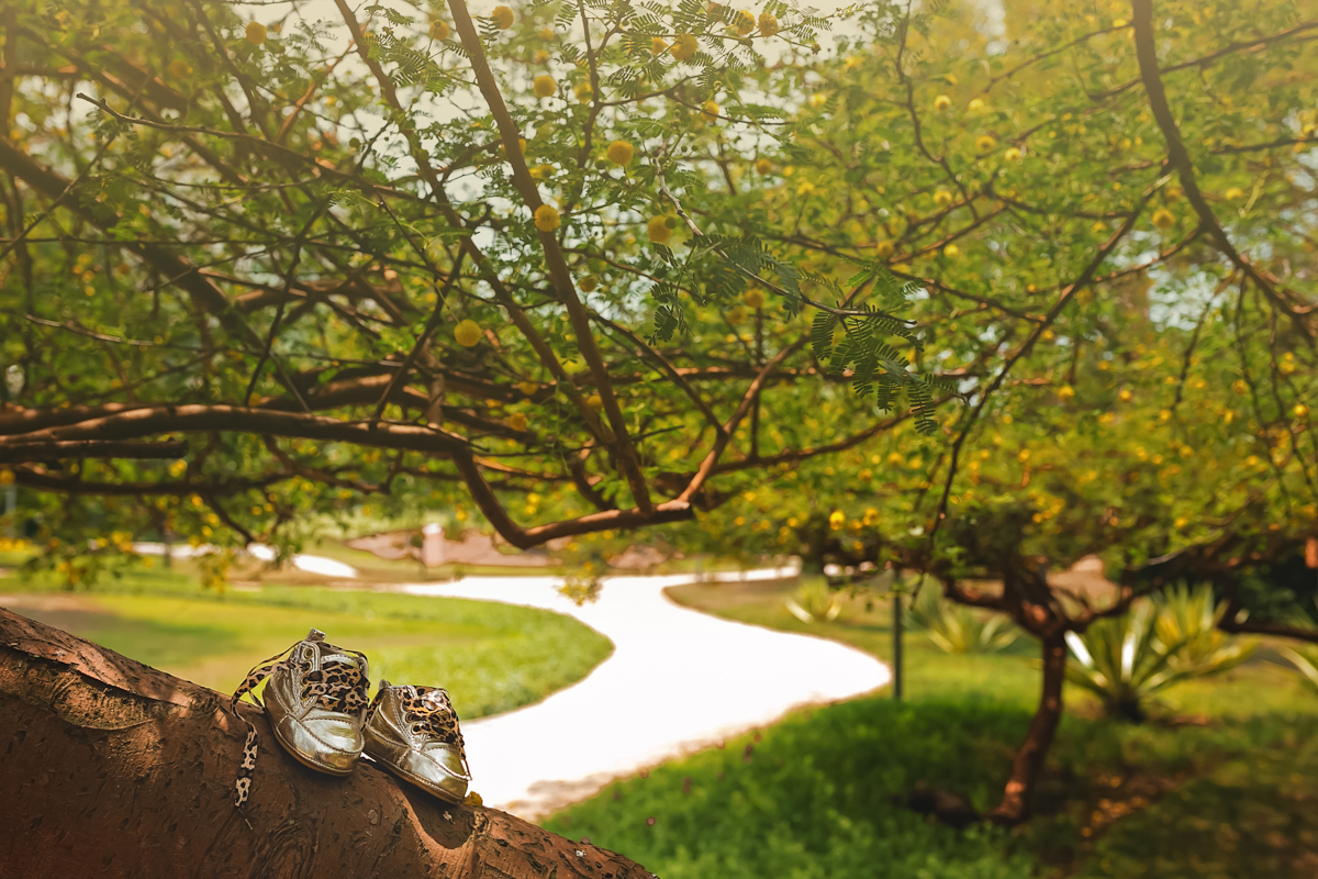 Sapatinho em cima da arvore em ensaio gestante no Rio 2
