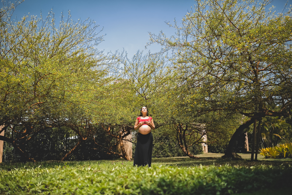 Ensaio de gestante externo