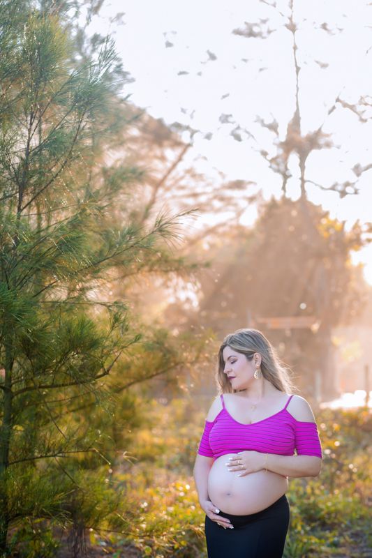 Fotos de gestantes ao ar livre