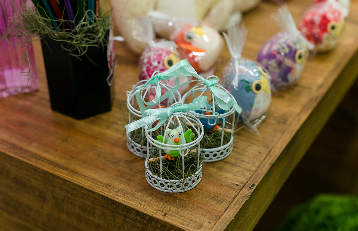 Festa  Corujinhas em de Festa Point da Alegria