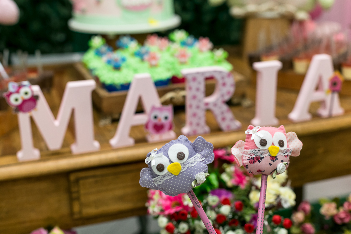 Festa infantil  corujinhas em Point da Alegria