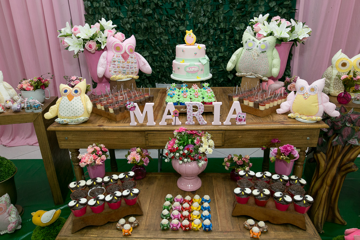 Tema Corujinhas festa infantil