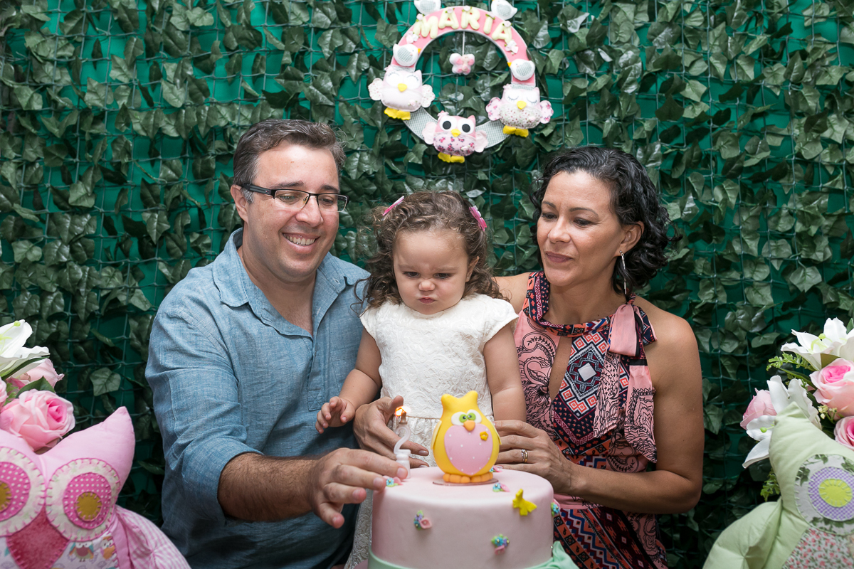 Festa Infantil Tema Corujas em casa de estas point da alegria