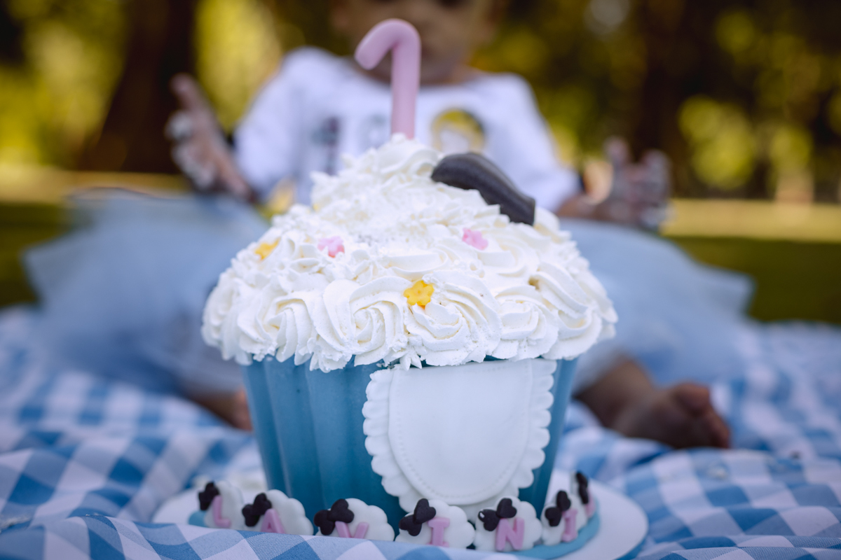 Bolo temático Alice no País das maravilhas em ensaio na quinta da boa vista-RJ