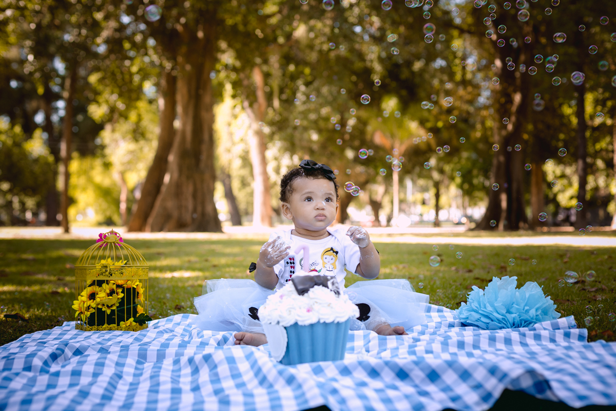 Smash the cake temático Alice  no País da Maravilhas