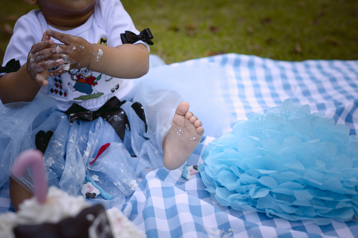 Smash the Cake - Lavínia Fotografia Infantil - Quinta da Boa Vista - RJ