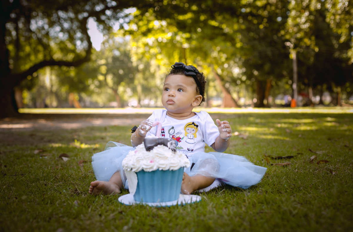 Saia de Tutu Alice no País das Maravilhas em Smash the cake