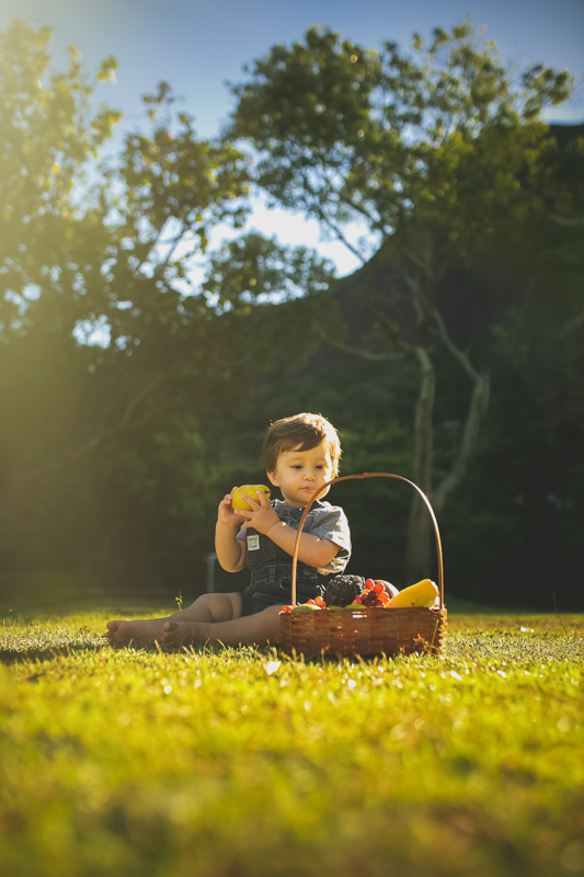 Smash the fruit biik fotografico externo