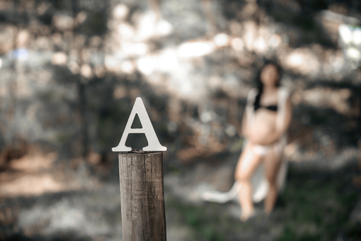 Ensaio gestacional no gramari-RJ