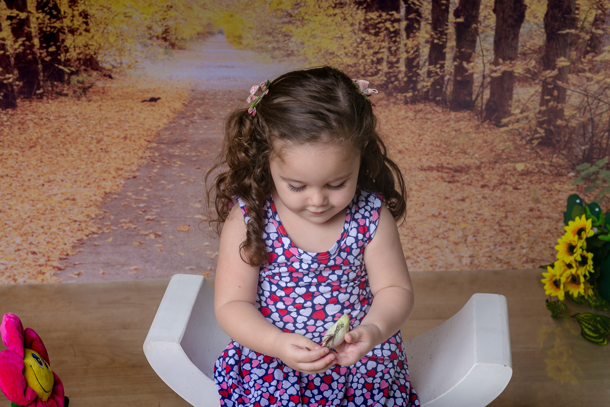 Ensaio  temático de  minia em estúdio