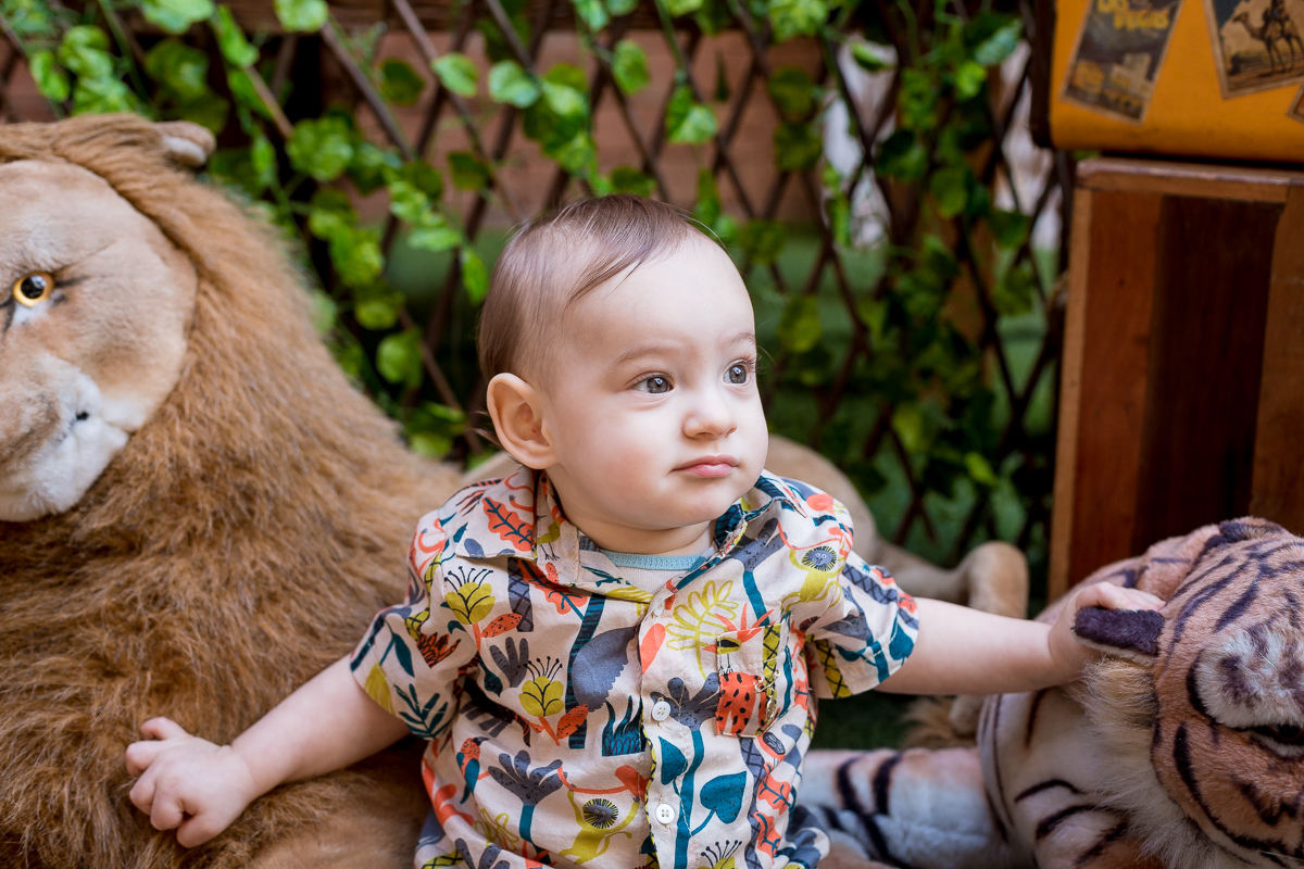 Espaço Pitanga Pitangueira em festa de aniversário de 1 ano-Safari do Gabriel