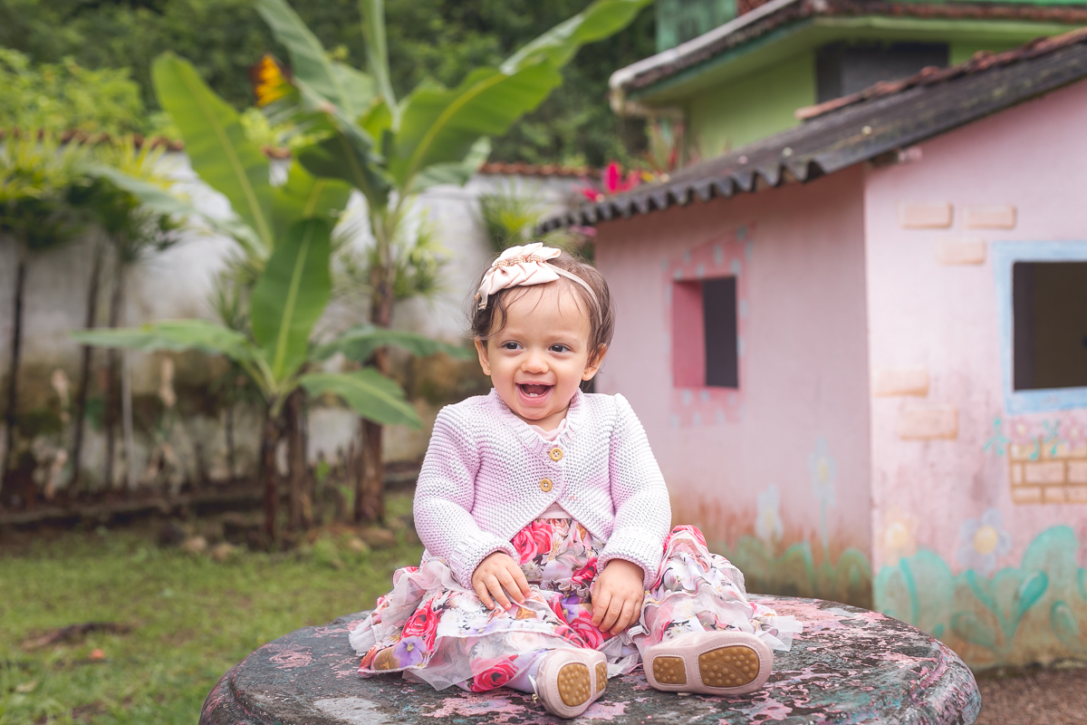 Festa de  1 ano da Valentina realizado no Sítio Mania de Verde em Magé/RJ