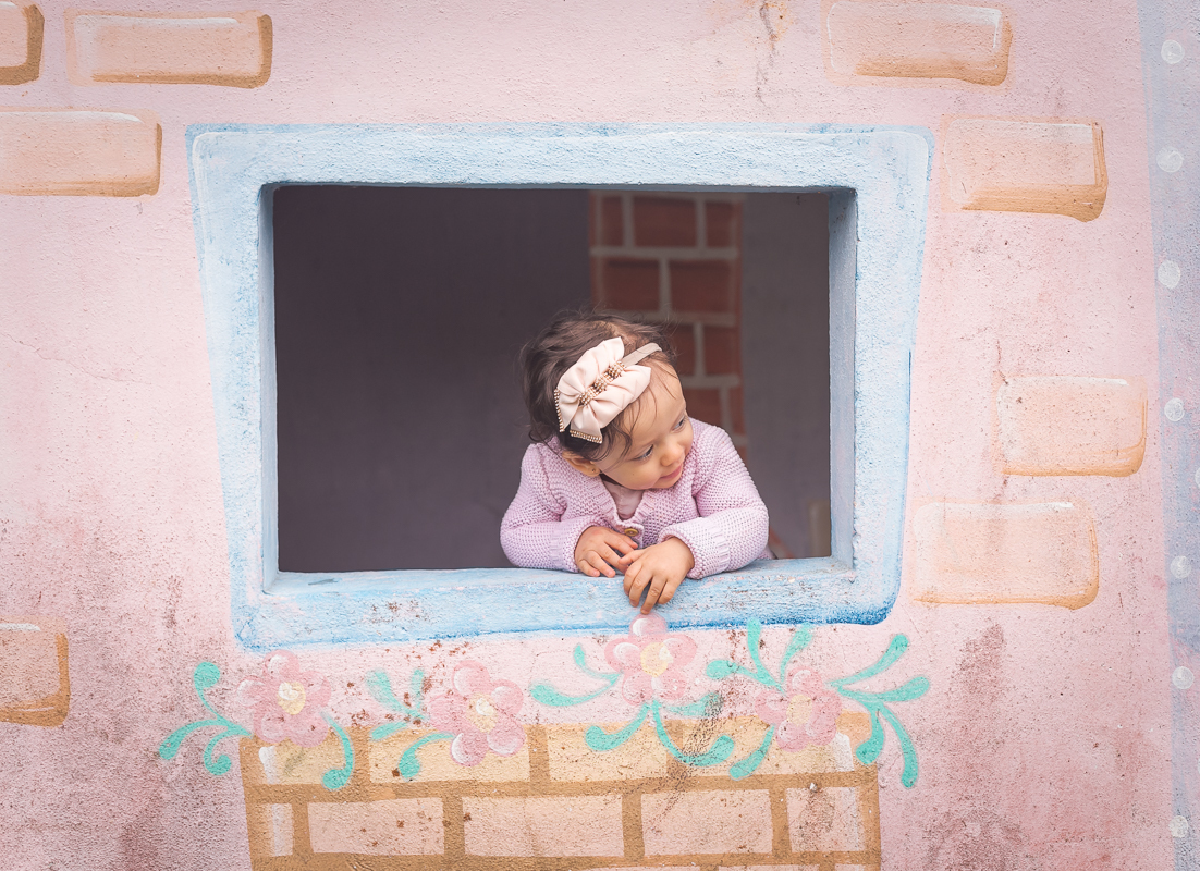 Festa em sítio mania de verde  tema Bita na fazendinha