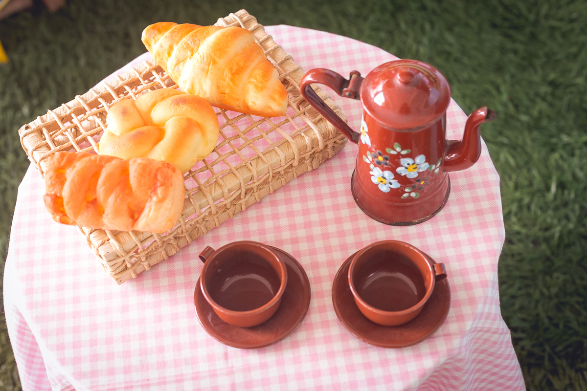 Decoração Fazendinha do Bita em Sítio Mania de Verde/Magé