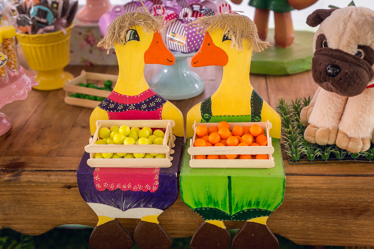 Decoração Bita na fazendinha Casal de patinhos em Sítio Mania de verde/Magé 