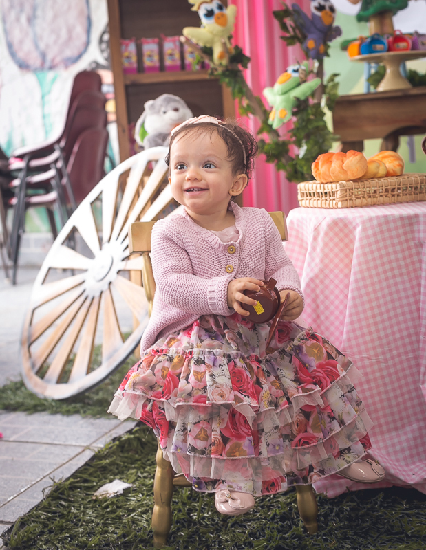 festa de 1 ano realizada no sítio mania de verde em Magé/RJ