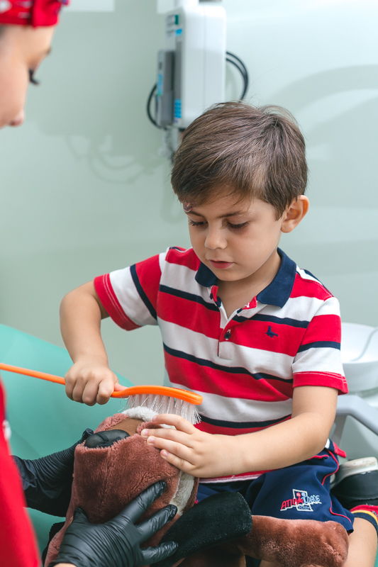 Ensaio fotográfico profissional book fotográfico  