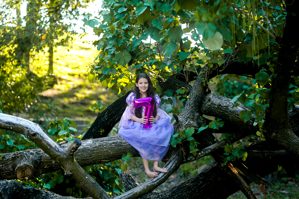 Ensaio infantilprincesa  Rapunzel-quinta da Boa Vista/RJ