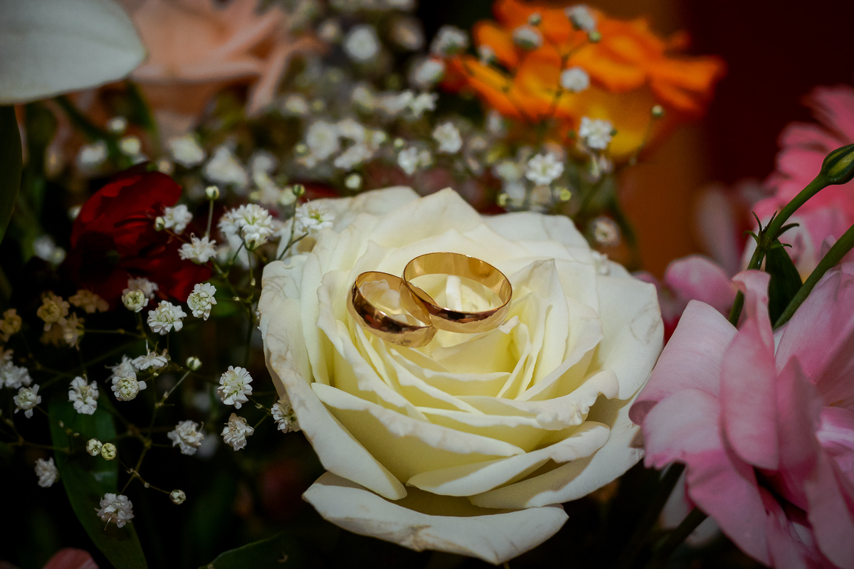 detalhes das alianças na rosa Bodas de Ouro Itacy & Yedda-igreja nossa senhora do líbano-tijuca-rj