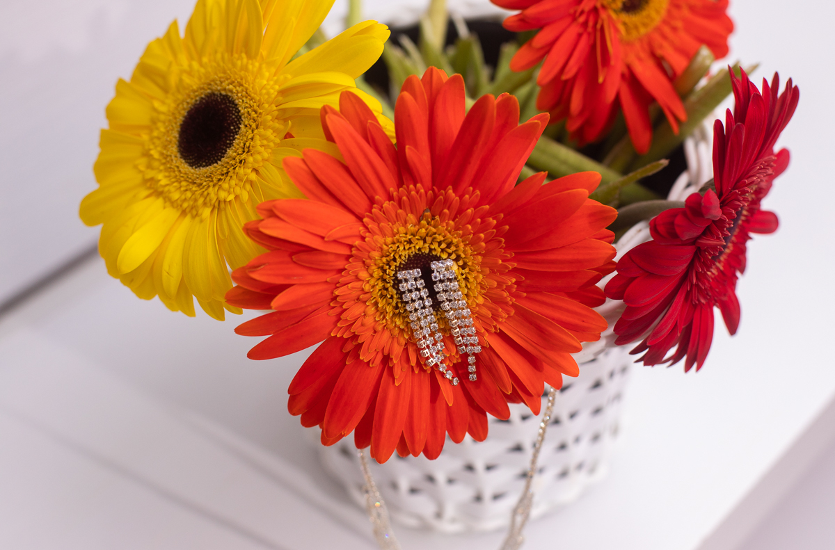 makeoff debutante-fotografia 15 anos