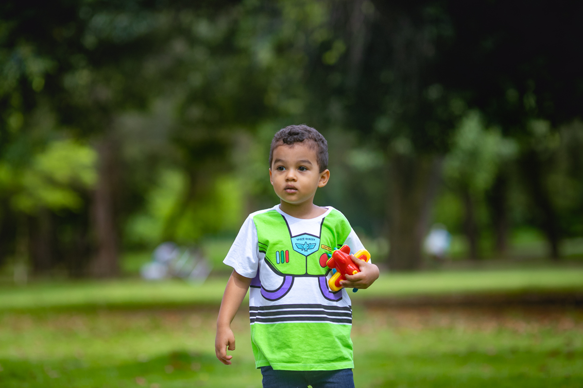 book fotográfico externo infantil-toy story