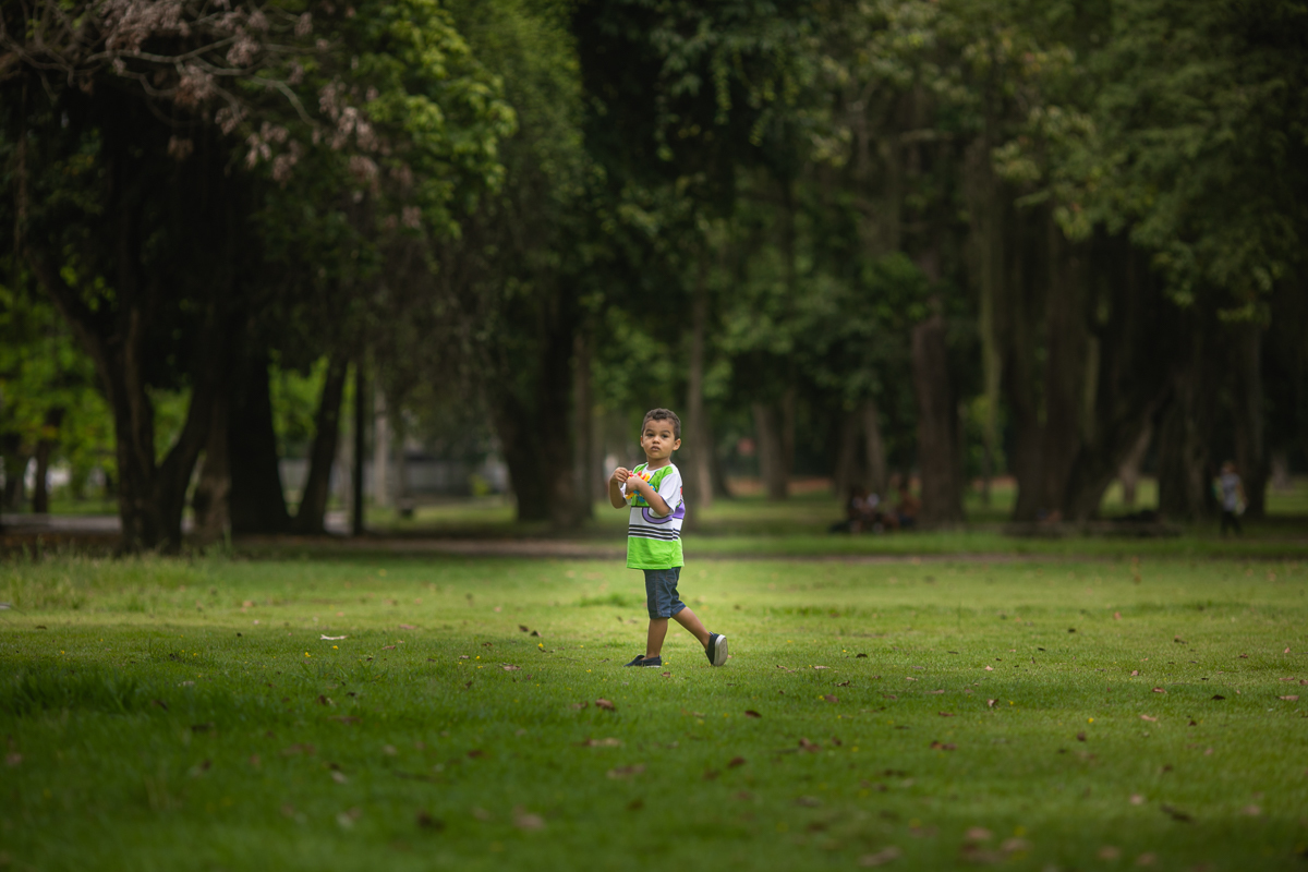 book fotográfico temático infantil-Toy Story- na quinta da boa vista