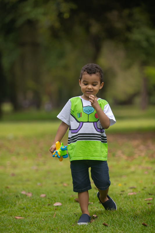 Book fotográfico externo-tema toy Story-quinta da boa vista
