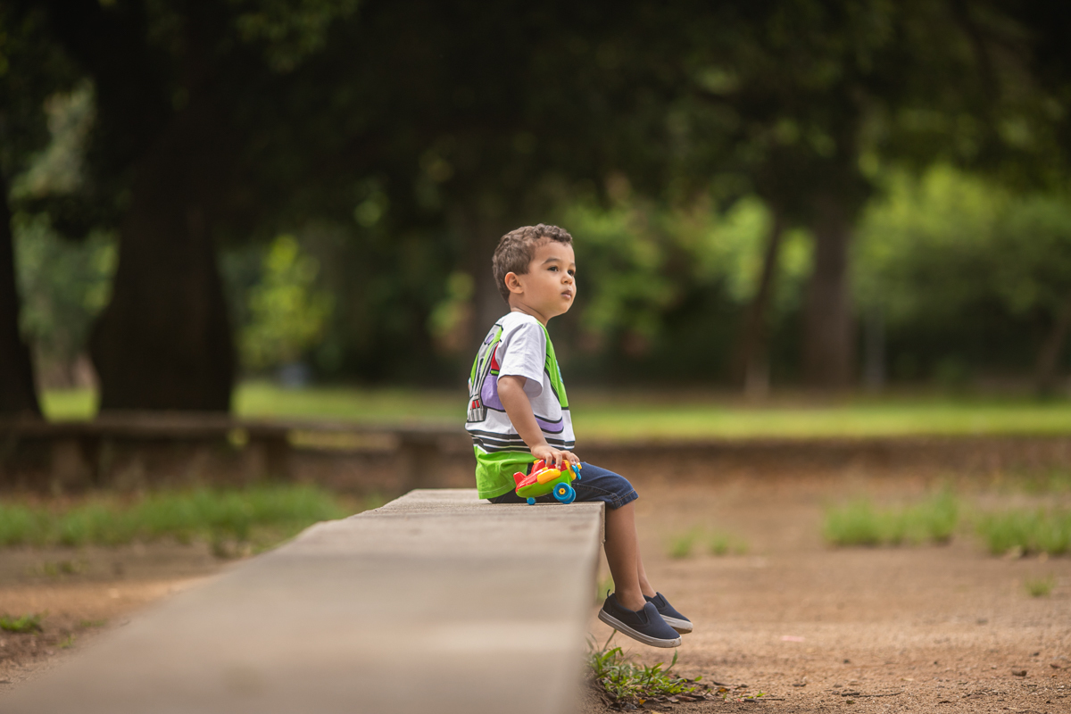 book fotográfico infantil-Toy story RJ
