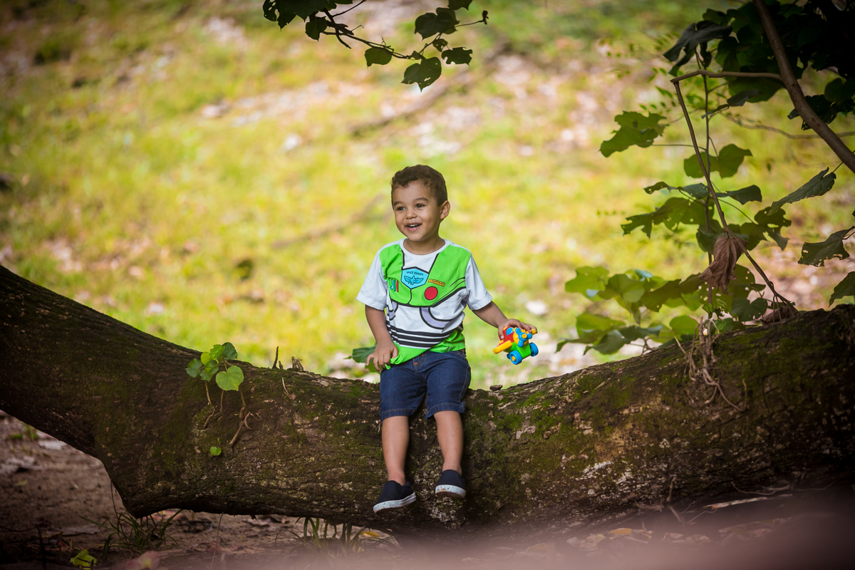 Lucas 3 anos  pura alegria em ensaio fotográfico Toy Story-Quinta da Boa Vista-rj