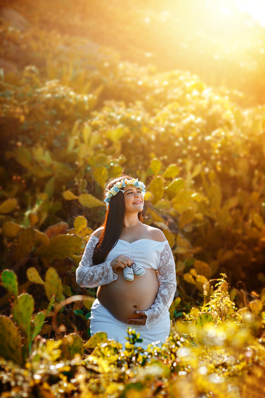 ensaio externo de gestante-ar livre-