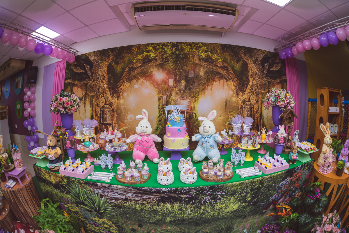 festa infantil -castelo da magia-freguesia-fotografo-festas infantis