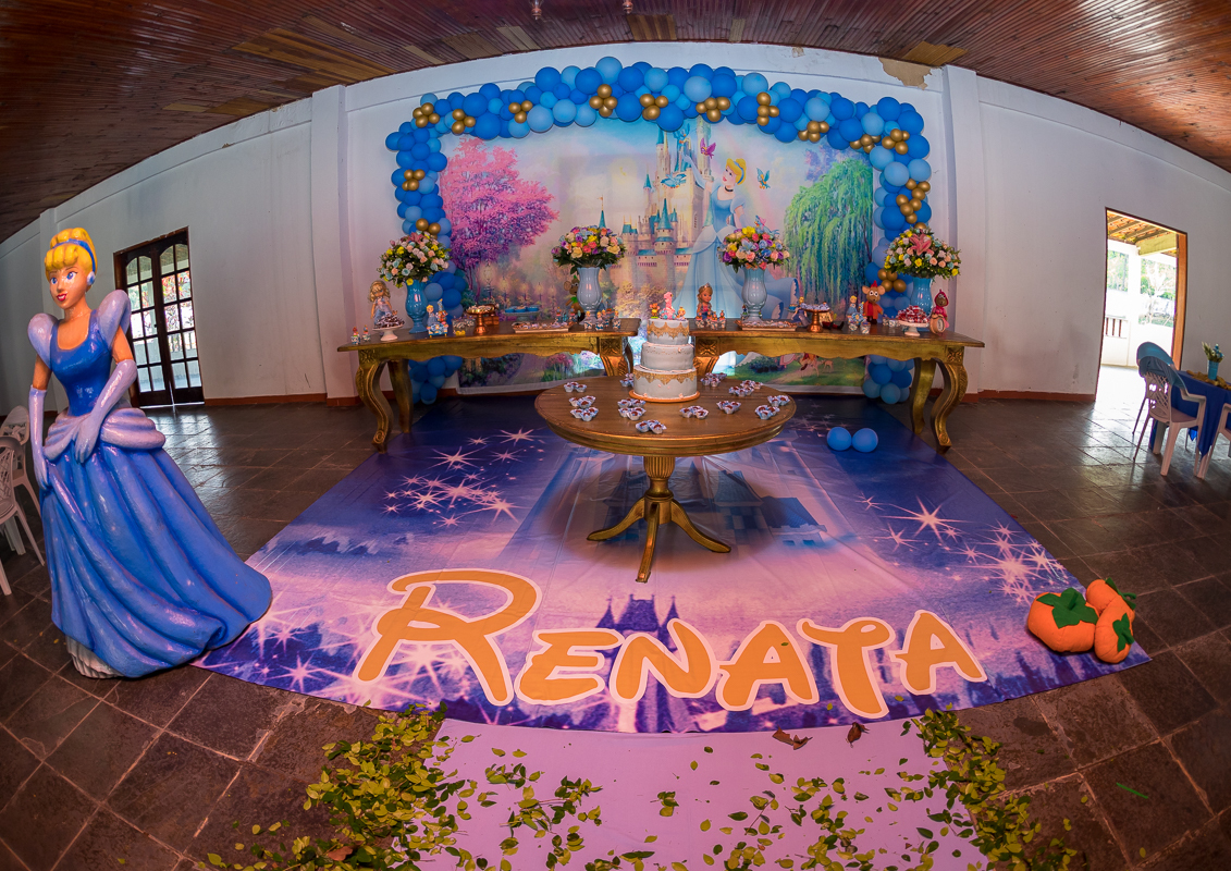 decoração cinderela-festa infantil-rj-sítio verde  morada