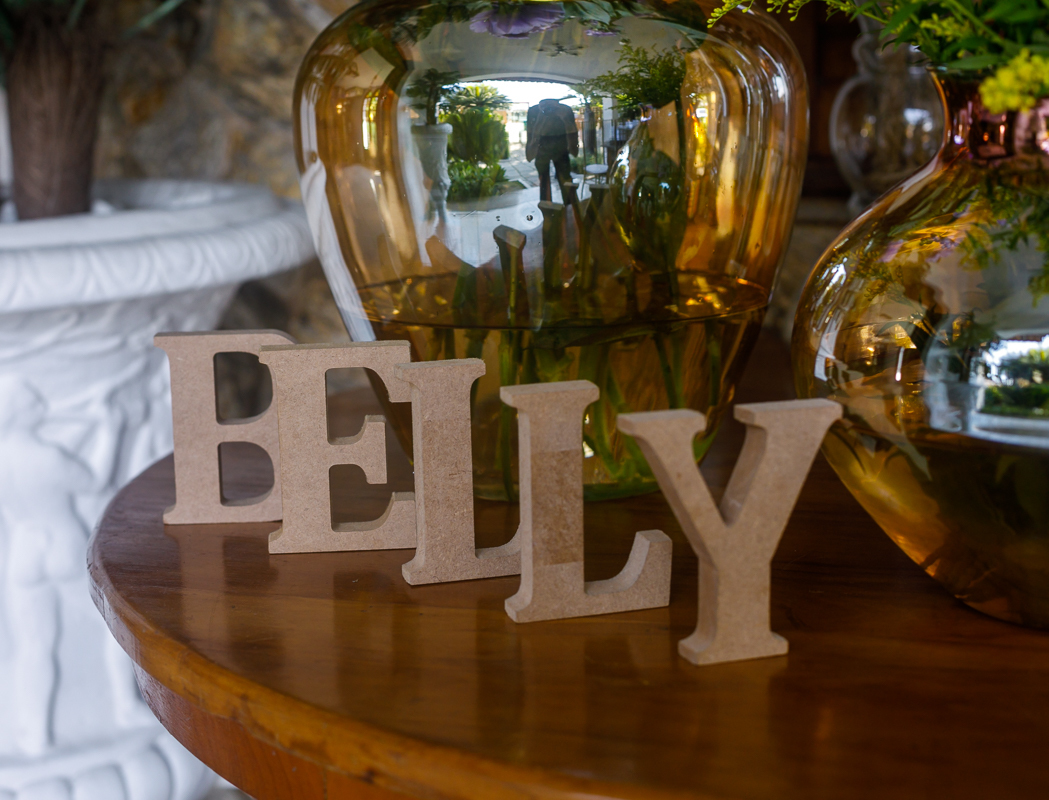 izabelly-decoração debutantes-rj-garden vip-festas-niterói