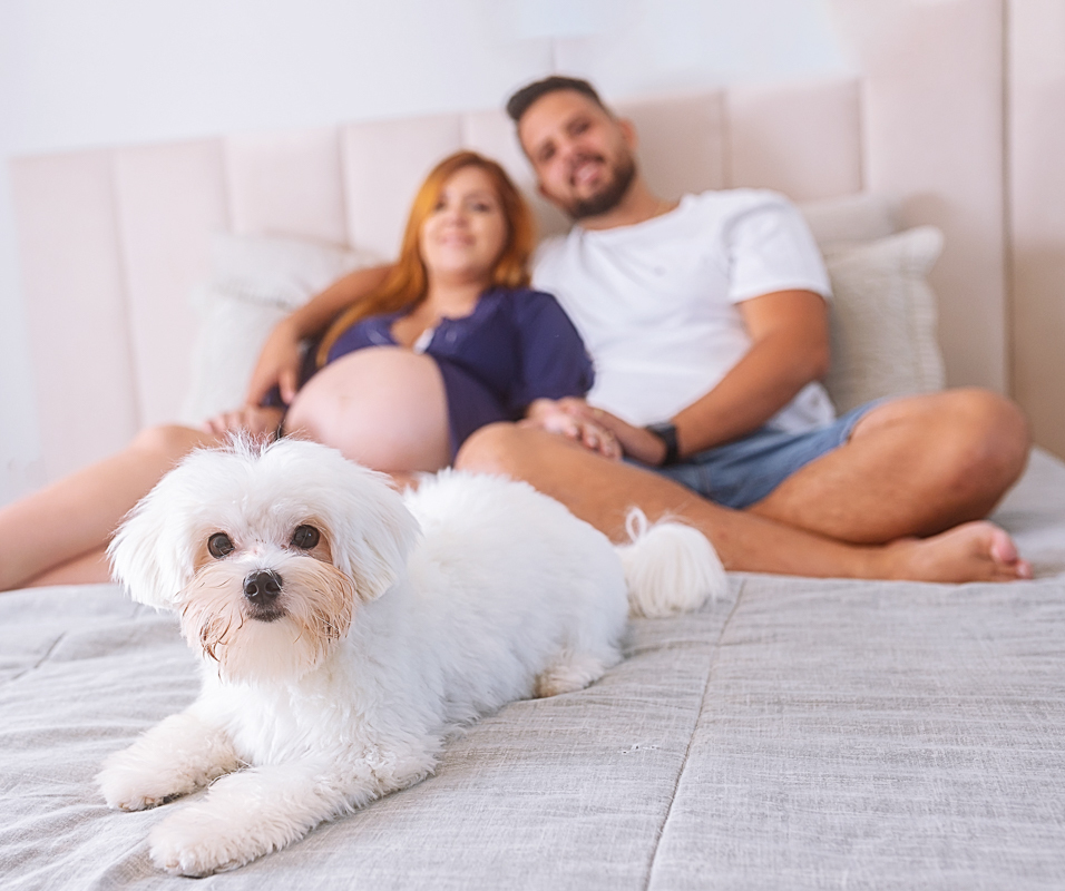 ensaio de gestante fotográfico em casa-intimista-quarto-cama-cachorrinho estimação-recreio dos bandeirantes