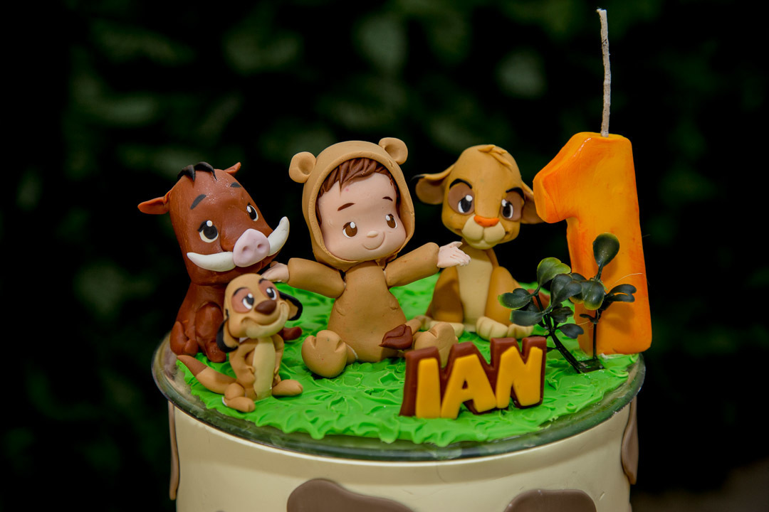 festa infantil rei leão