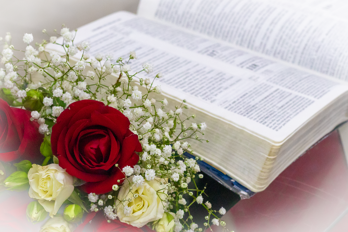 Fotografia de Casamento - BM2 Produções