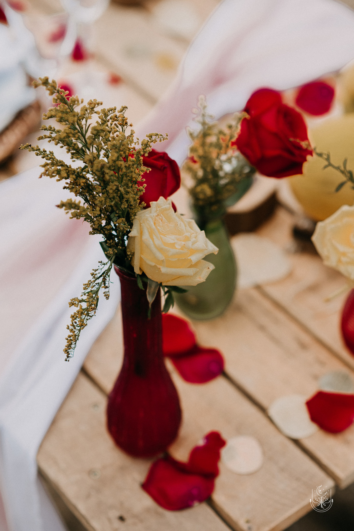 Elopement na praia