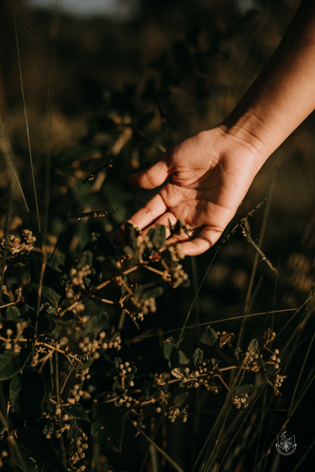 Fotografo de casamento Ribeirão Preto
