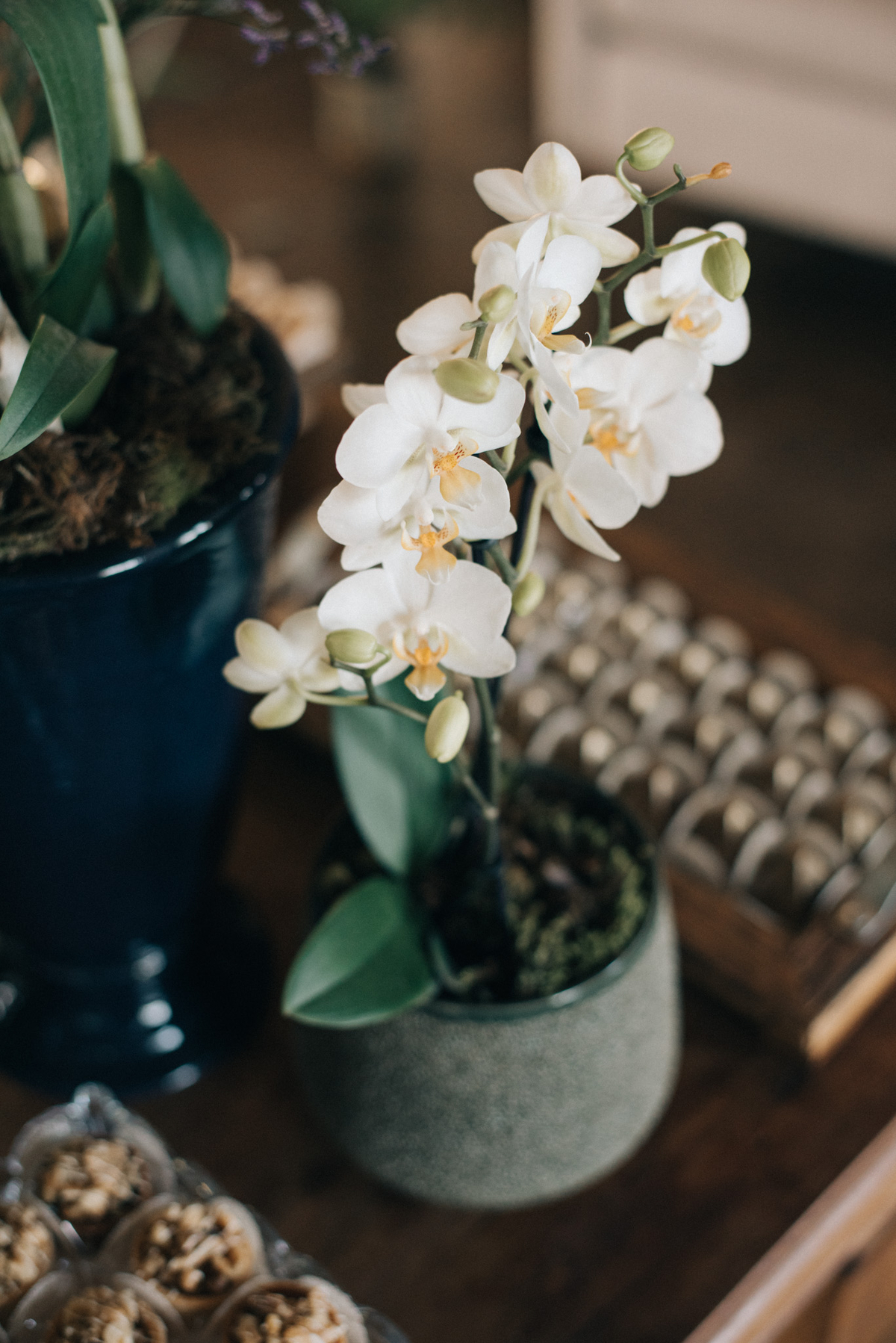 Casamento Villa Casuarina