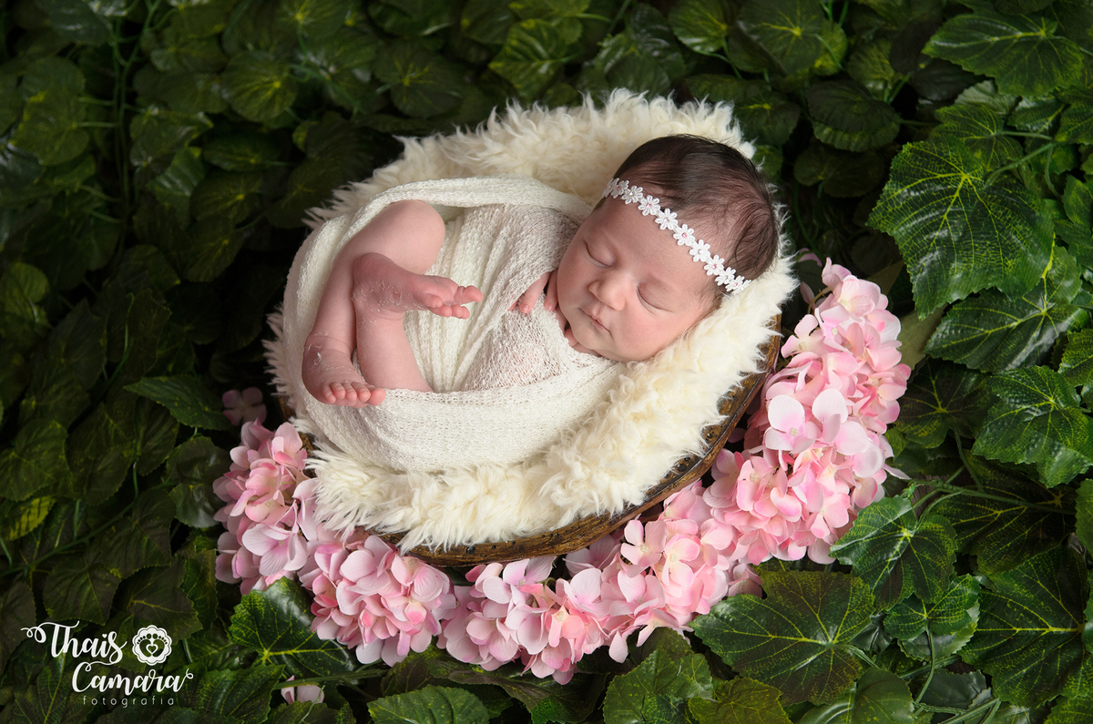 book de recém-nascido - sessão ensaio newborn - Rio de Janeiro - Thaís Camara