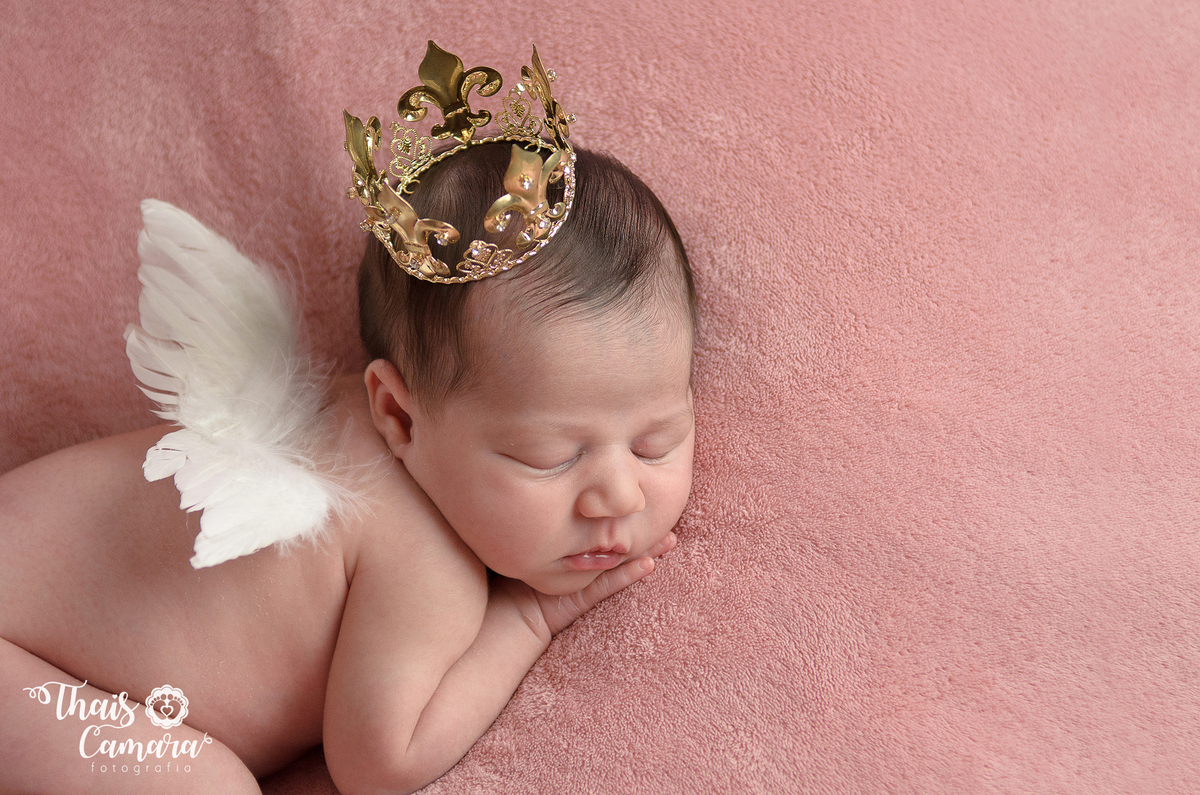 book de recém-nascido - sessão ensaio newborn - Rio de Janeiro - Thaís Camara