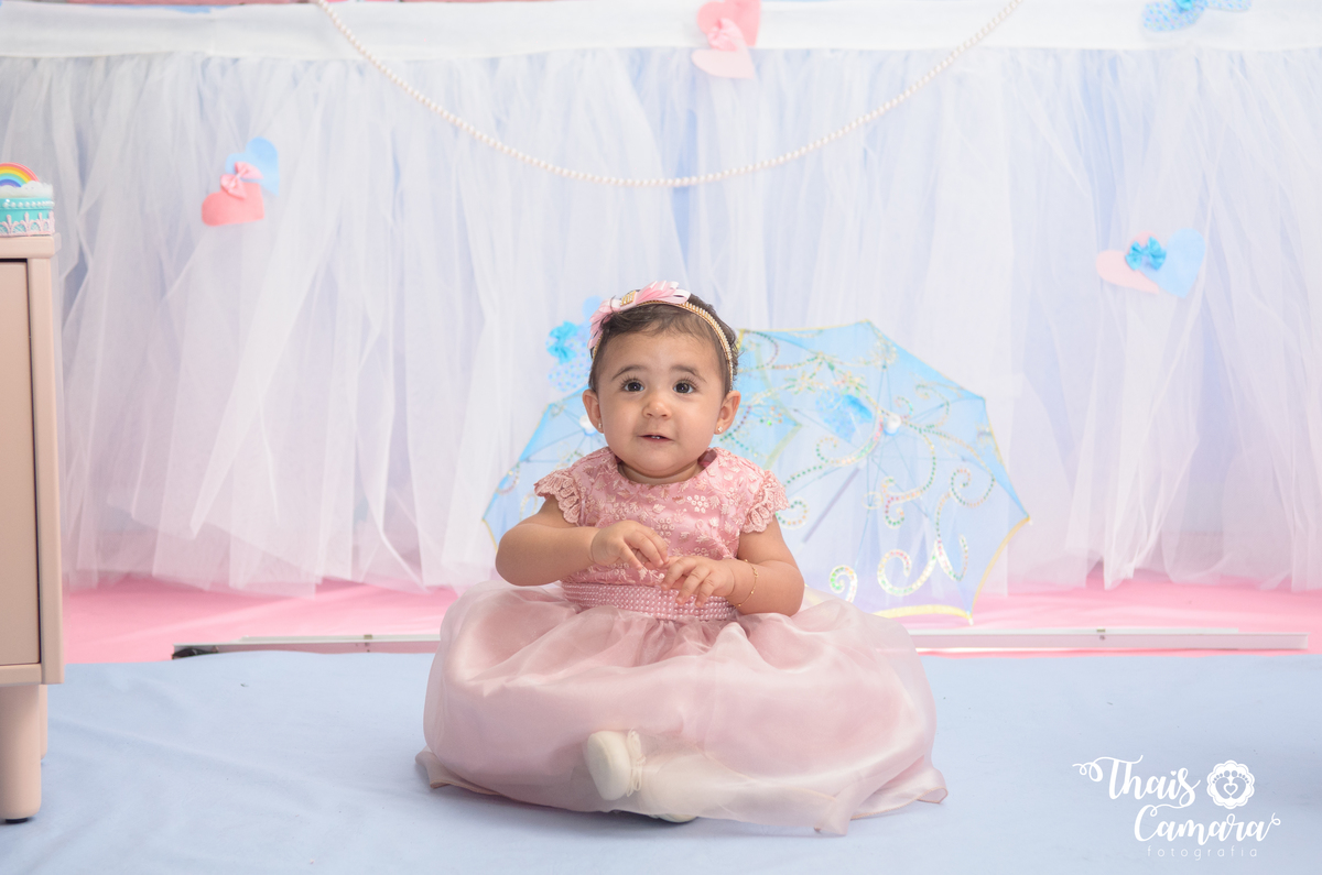 Thaís Camara - Festa Infantil - fotografia de festa - 1 aninho - Rio de janeiro - RJ