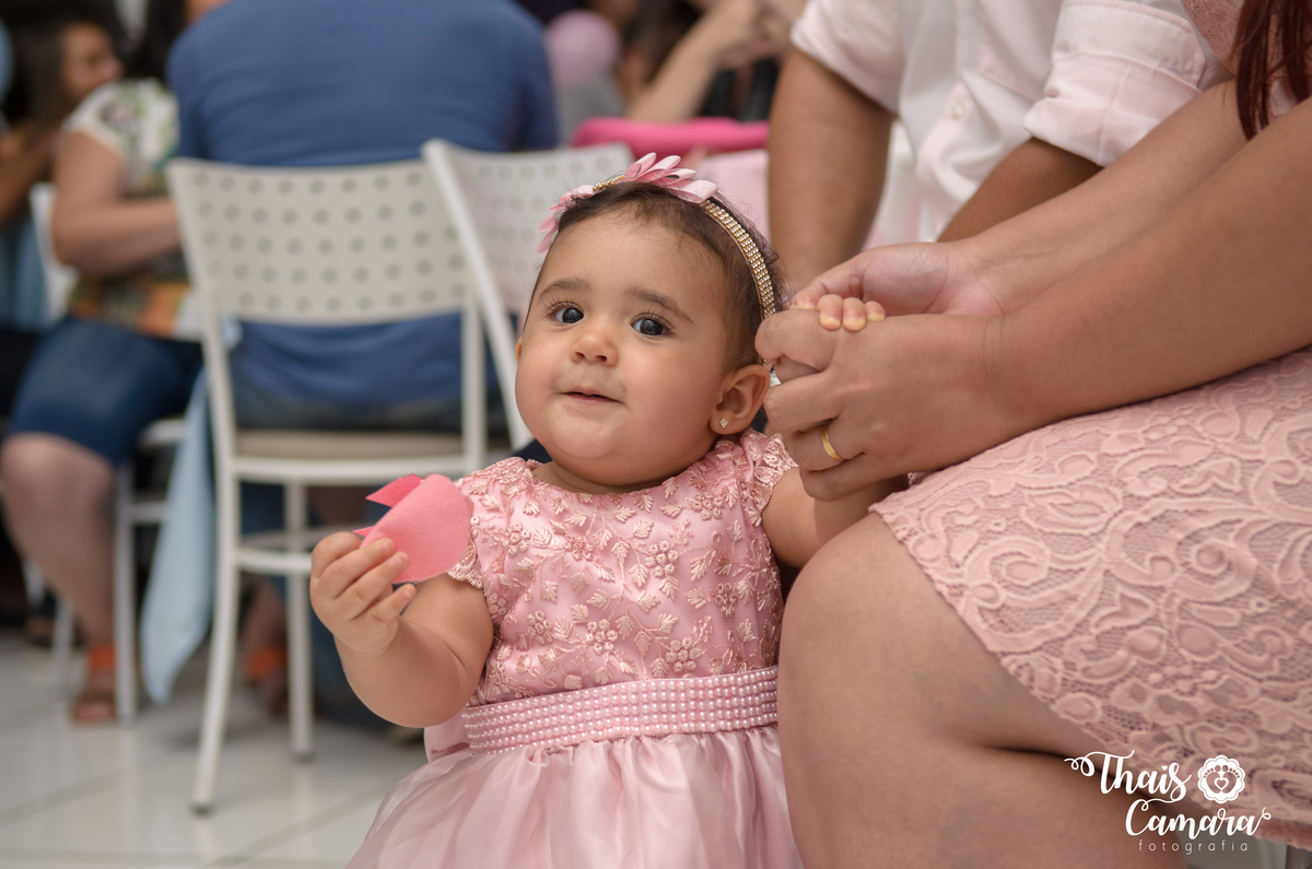 Thaís Camara - Festa Infantil - fotografia de festa - 1 aninho - Rio de janeiro - RJ