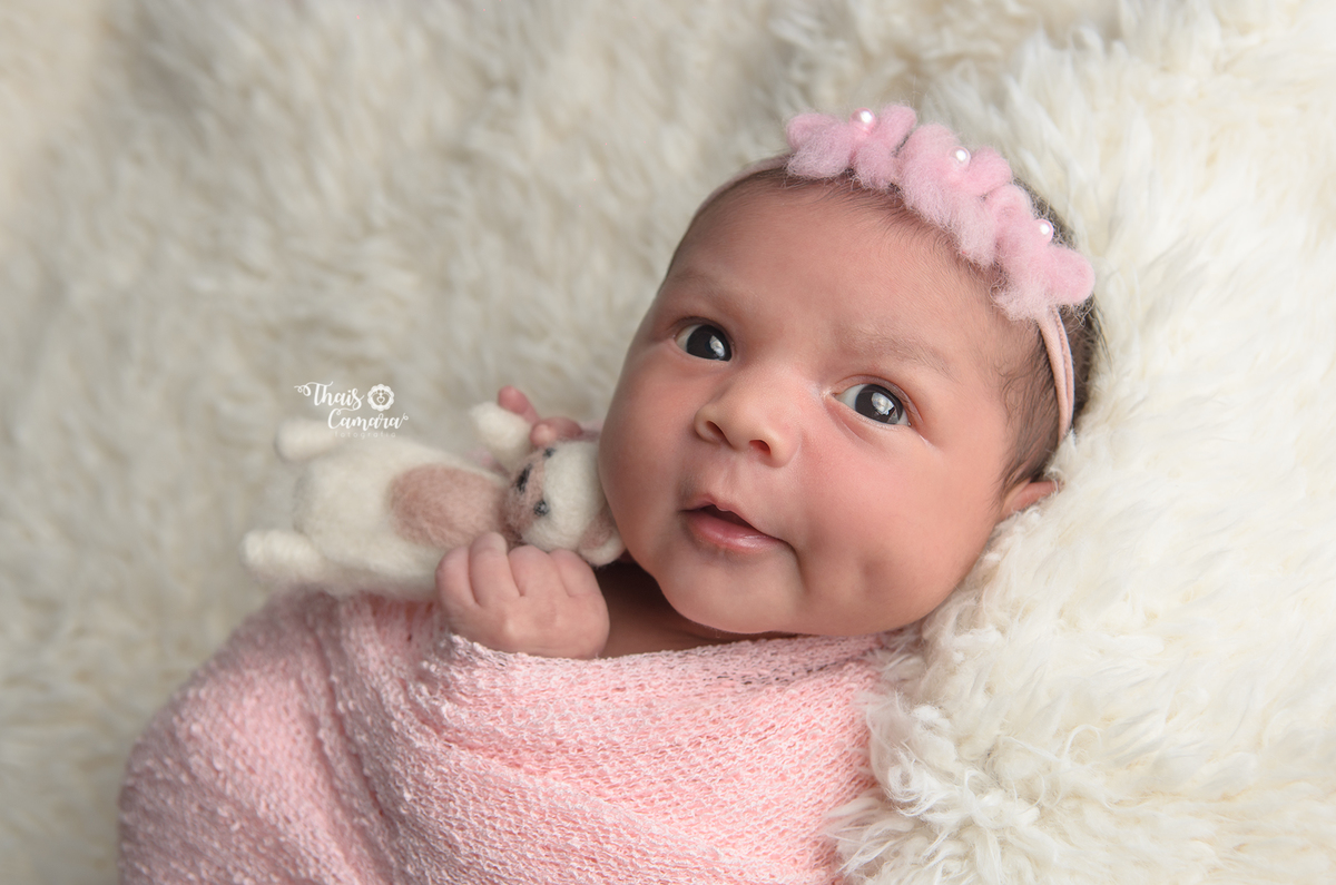 Book de recém nascido, rio de janeiro, newborn, thais camara, 2018, estúdio newborn campo grande rj, newborn zona oeste rj, newborn santa cruz, newborn paciência, newborn cosmos, newborn bangu, amigurumi