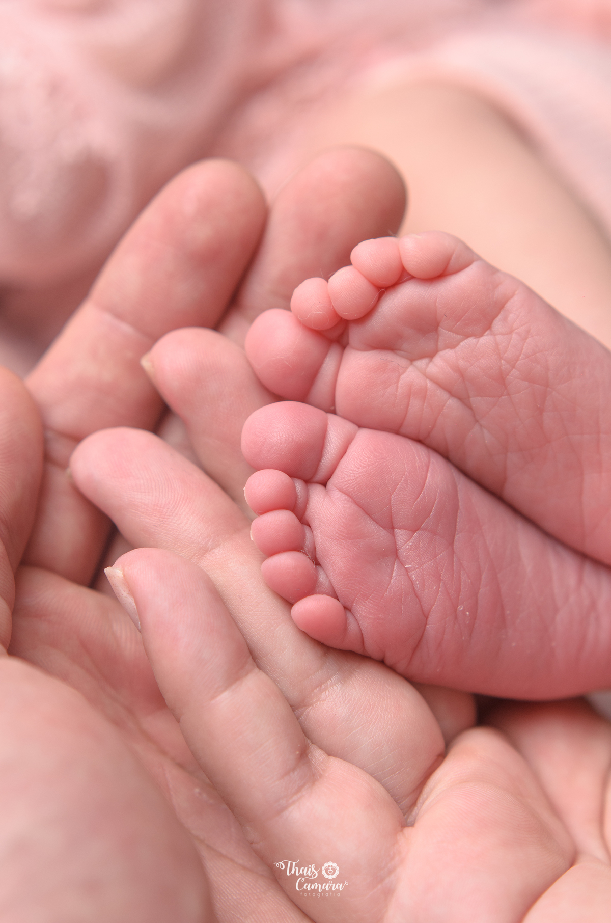 Book de recém nascido, rio de janeiro, newborn, thais camara, 2018, estúdio newborn campo grande rj, newborn zona oeste rj, newborn santa cruz, newborn paciência, newborn cosmos, newborn bangu, baby girl, menina