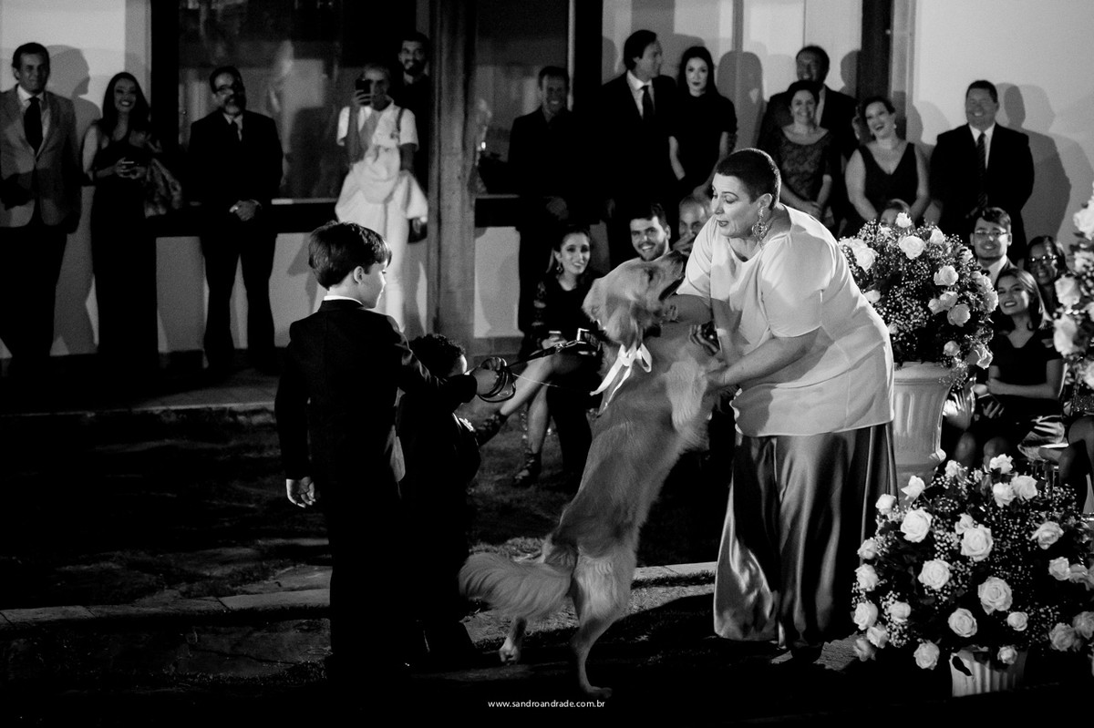 O cachorrinho roubando a cena do casamento na entrada das alianças.