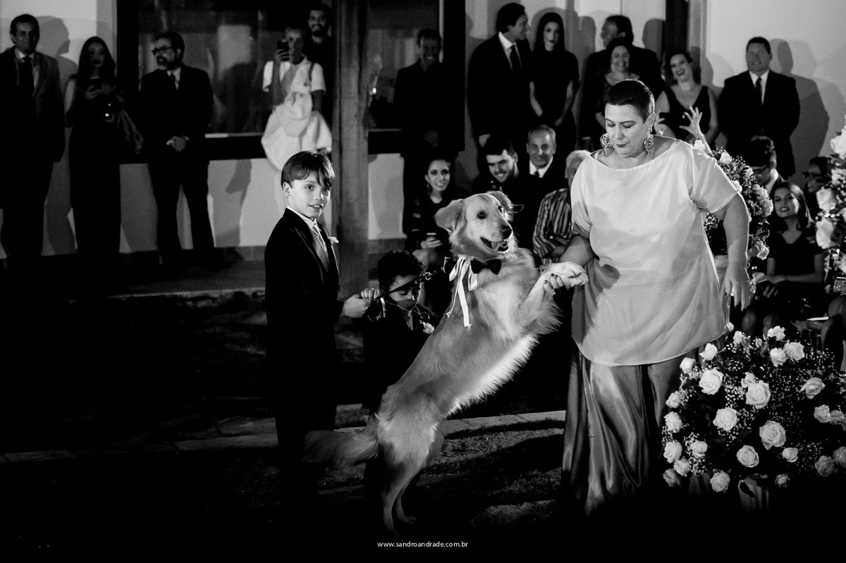 Lindo registro do cachorrinho no casamento de seus donos.