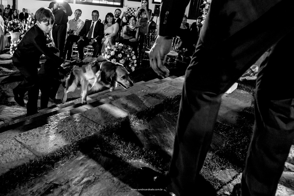 Pajem e o cachorrinho levando as alianças ate o altar.